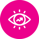 Vision Icon New